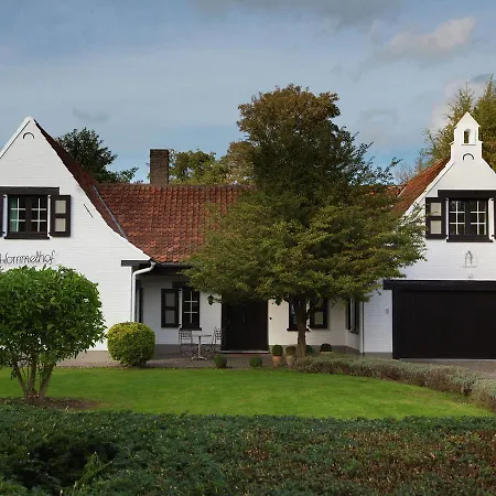 Cozy Holiday In Sint Idesbald With Sauna *